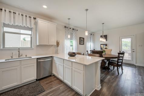 10007 Overlook Point San Antonio TX 78245
