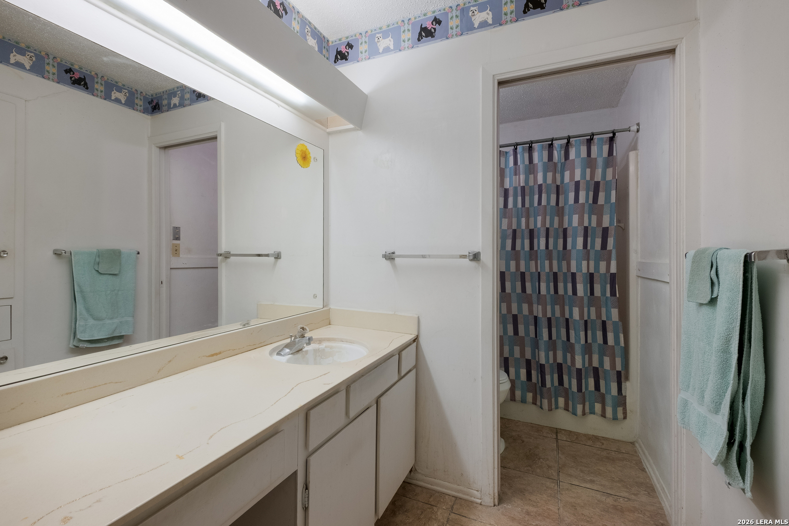 6602 Spring Lark Street San Antonio TX 78249