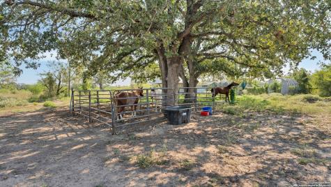 475 Jackson Road Kingsbury TX 78638