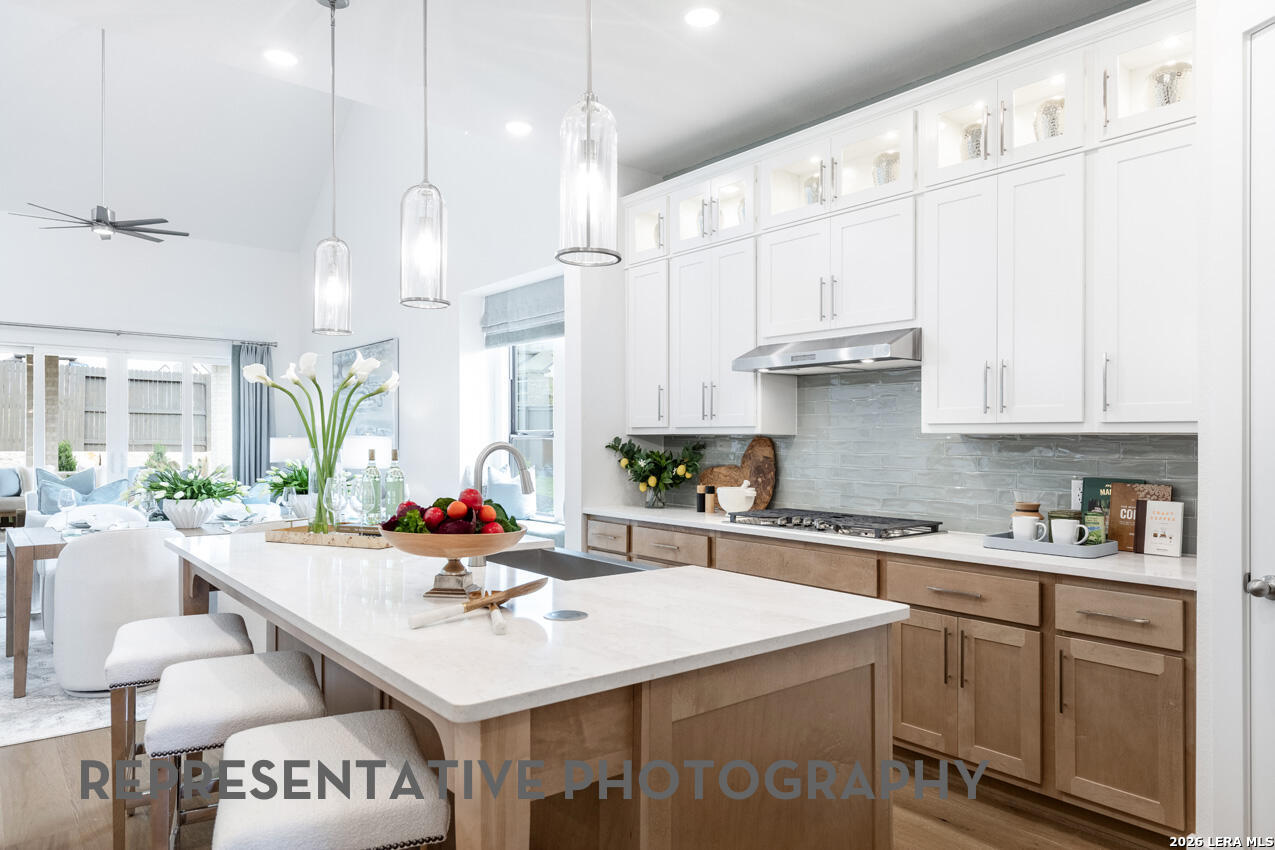 2414 Briggs Summit San Antonio TX 78245