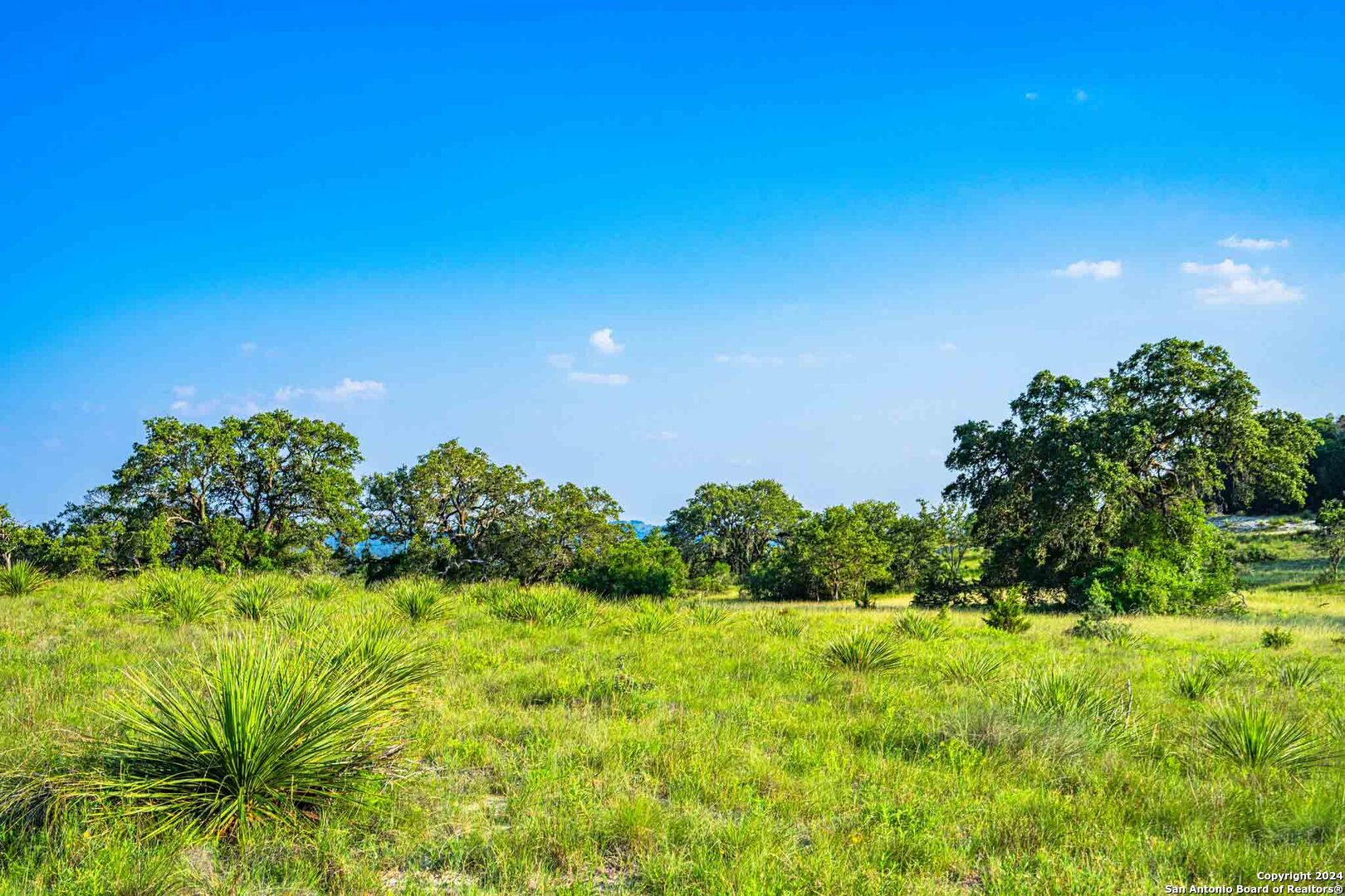 38 Seewald Road Boerne TX 78006