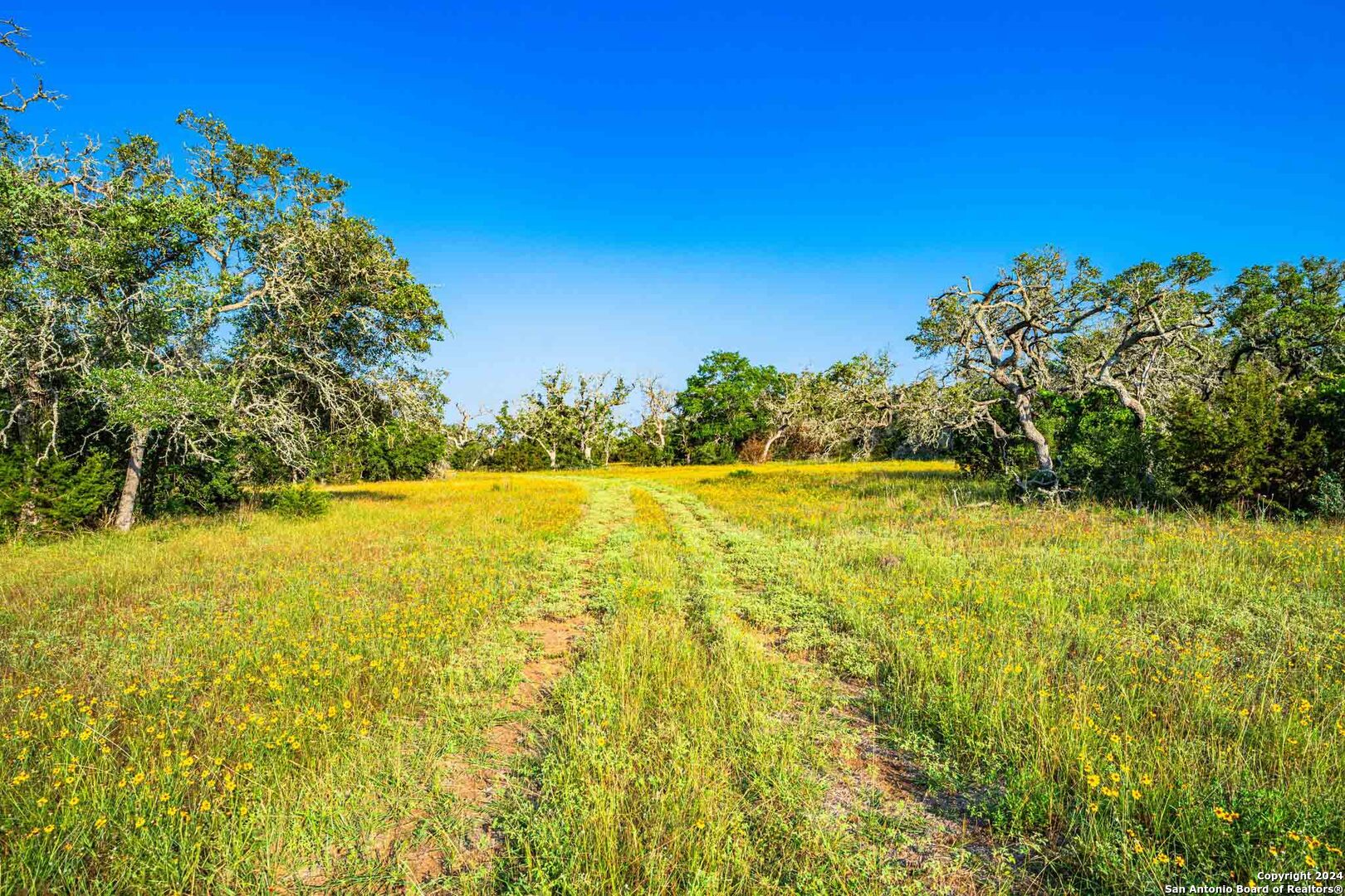 38 Seewald Road Boerne TX 78006