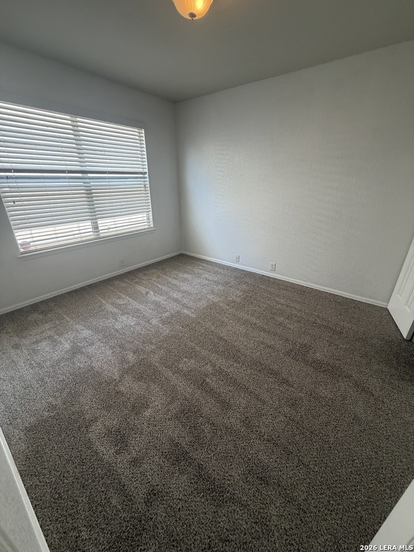 11115 Palomino Bluff San Antonio TX 78245