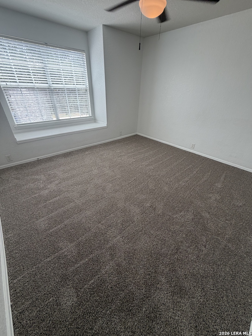 11115 Palomino Bluff San Antonio TX 78245