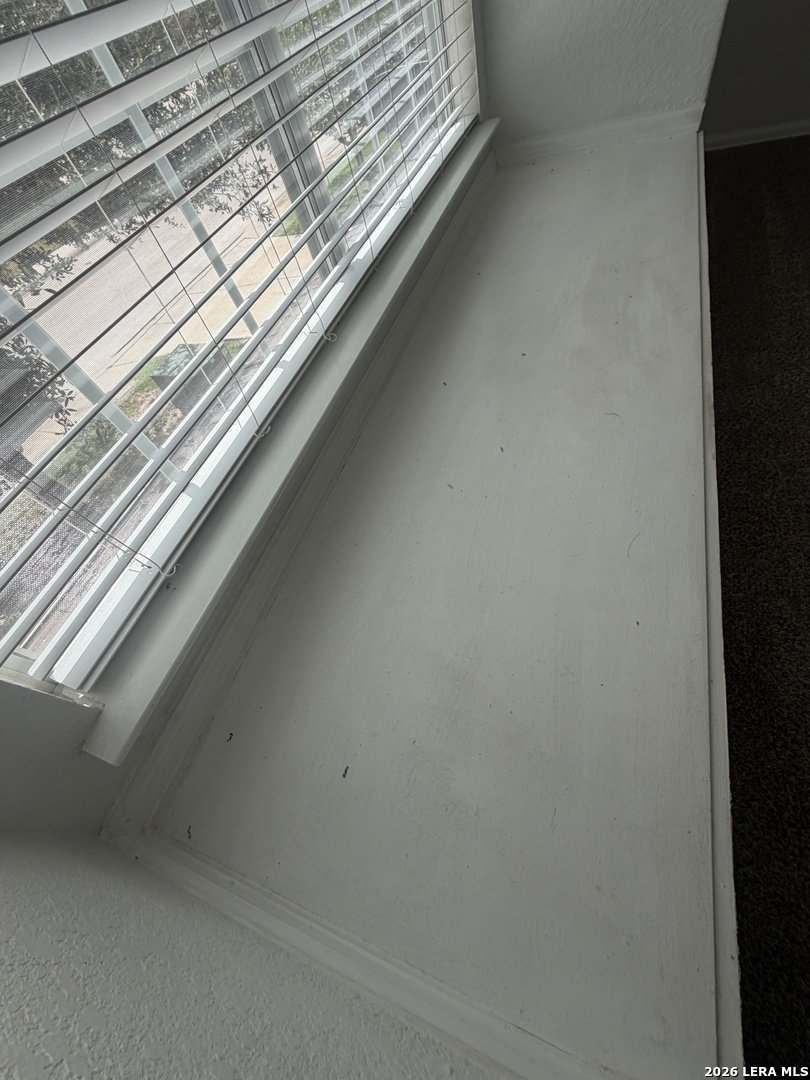 11115 Palomino Bluff San Antonio TX 78245