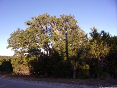 361/395 Mountain Wood Canyon Lake TX 78133