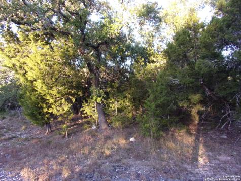 361/395 Mountain Wood Canyon Lake TX 78133