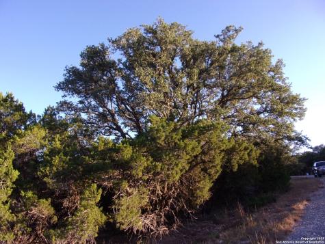 361/395 Mountain Wood Canyon Lake TX 78133