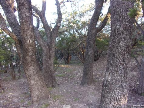 361/395 Mountain Wood Canyon Lake TX 78133