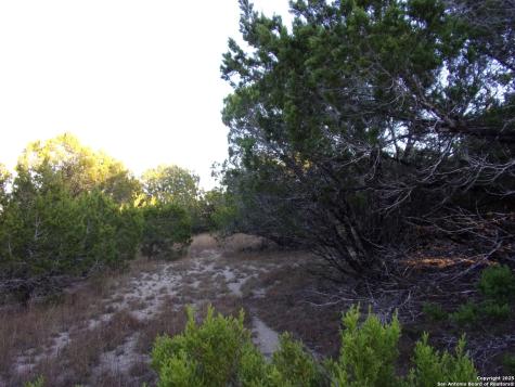 361/395 Mountain Wood Canyon Lake TX 78133