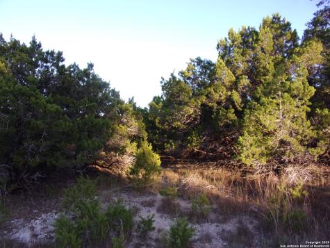 361/395 Mountain Wood Canyon Lake TX 78133