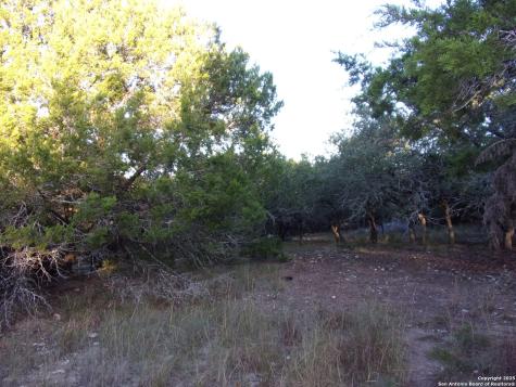 361/395 Mountain Wood Canyon Lake TX 78133