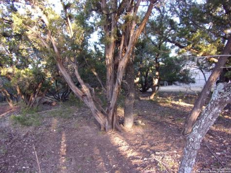 361/395 Mountain Wood Canyon Lake TX 78133