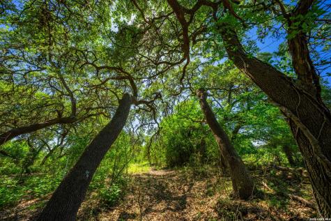 625 State Highway 46 E Boerne TX 78006