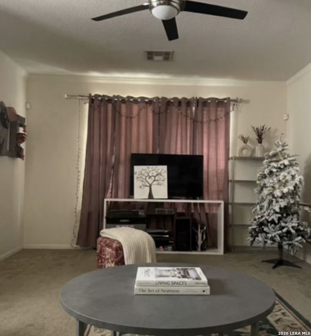 2502 Grayson Circle San Antonio TX 78232
