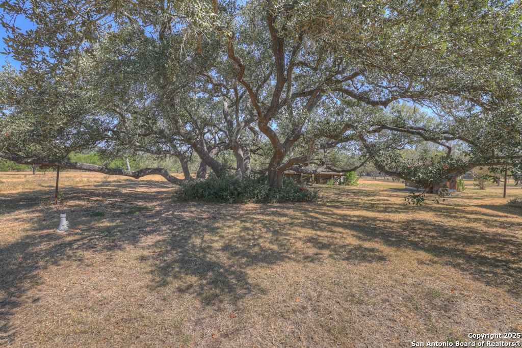 255 Brehm Lane Cibolo TX 78108