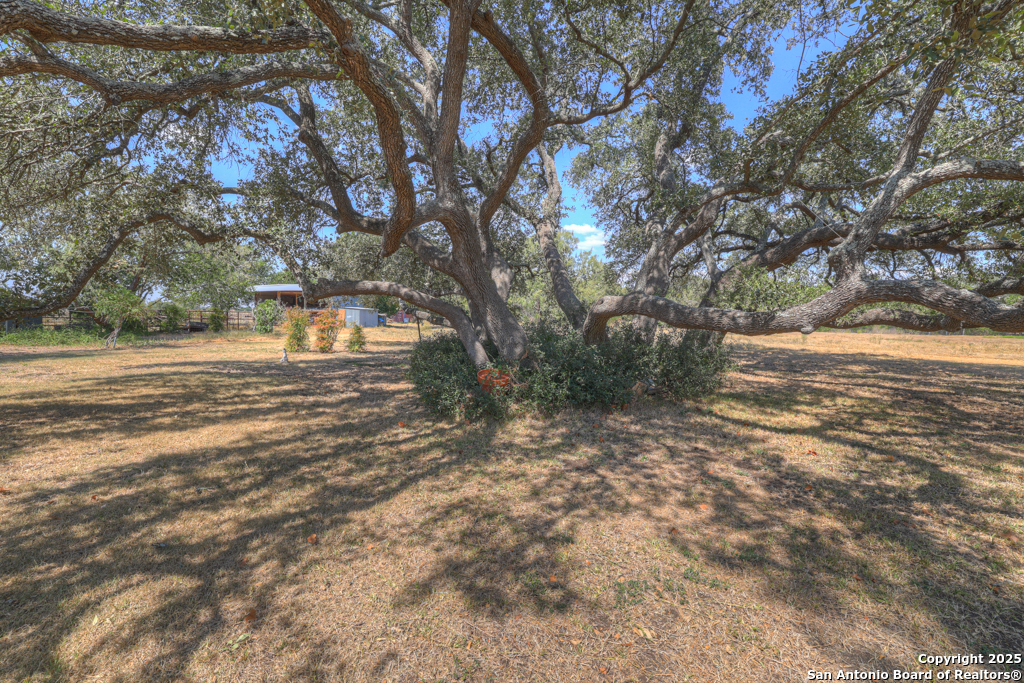 255 Brehm Lane Cibolo TX 78108