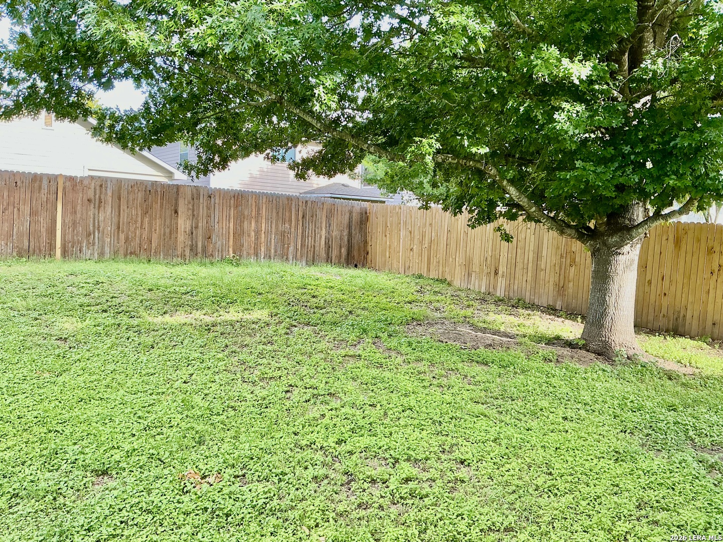 8306 Apricot Bloom San Antonio TX 78254