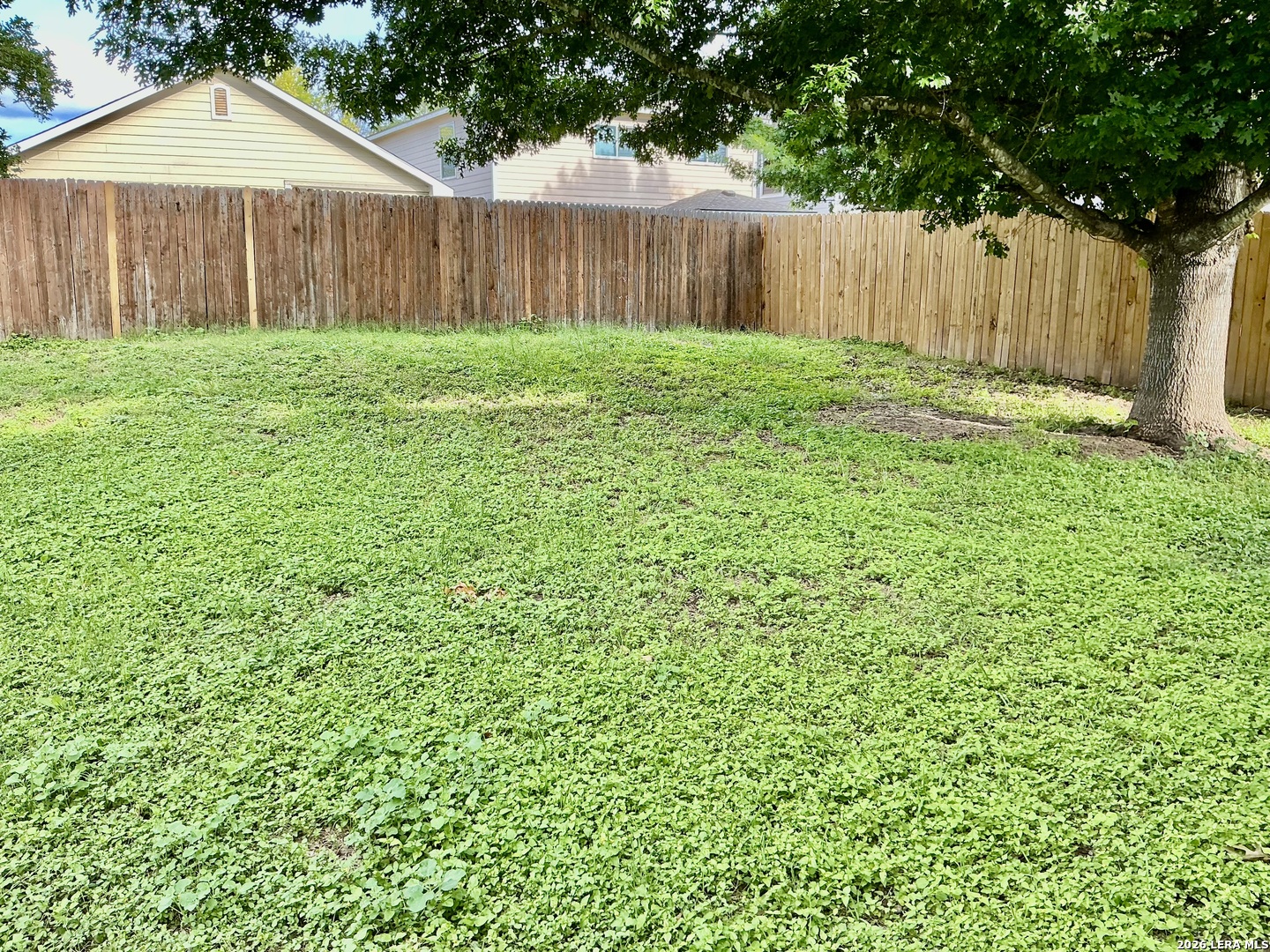 8306 Apricot Bloom San Antonio TX 78254