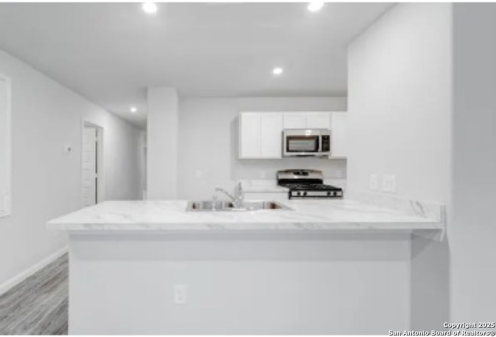 707 Cadena Loop Kenedy TX 78119