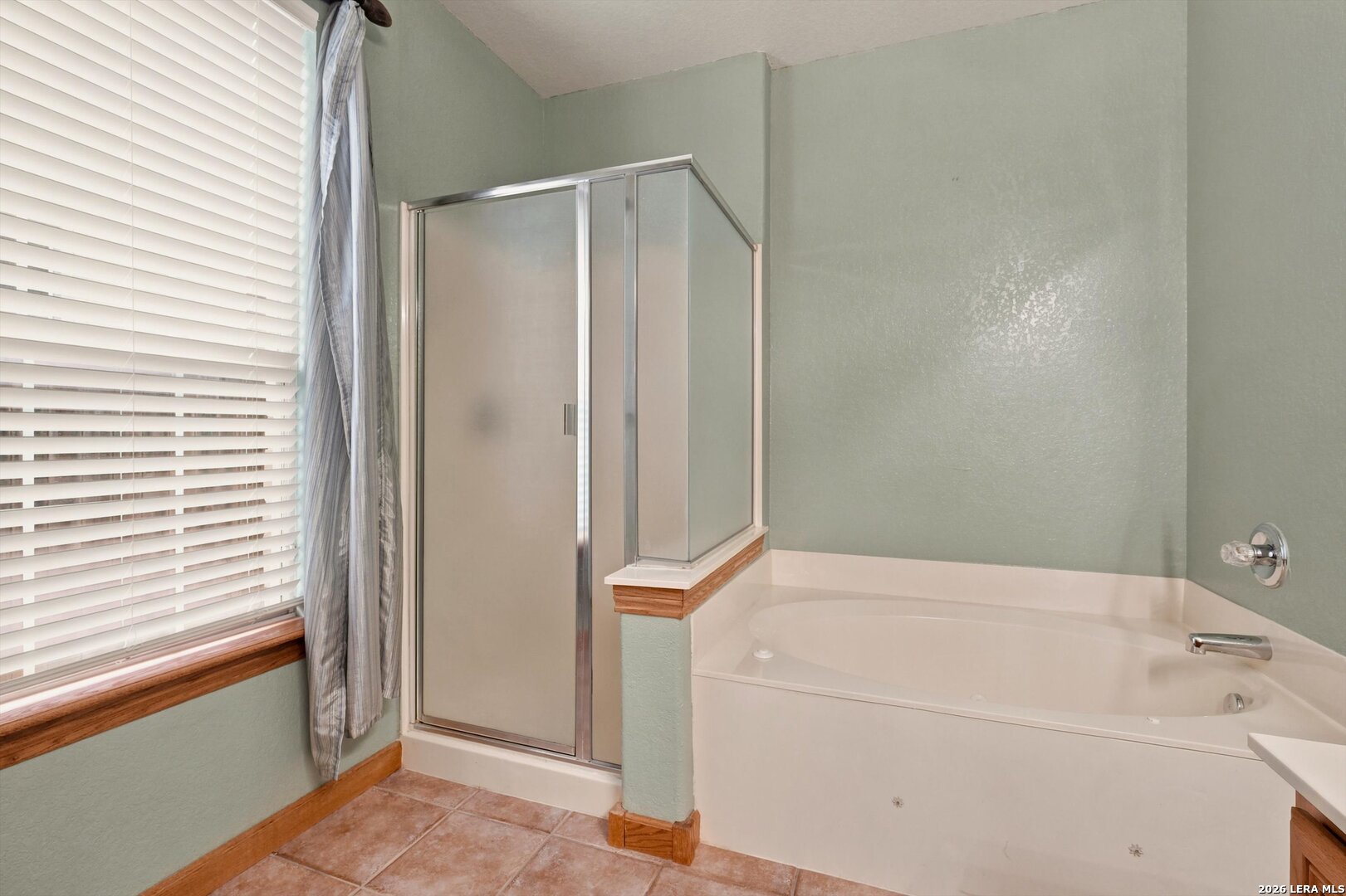 132 Springtree Cibolo TX 78108