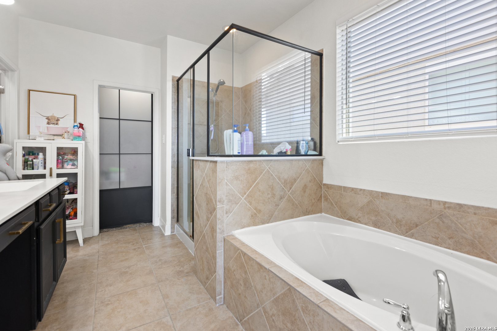 13810 Silas Creek San Antonio TX 78245
