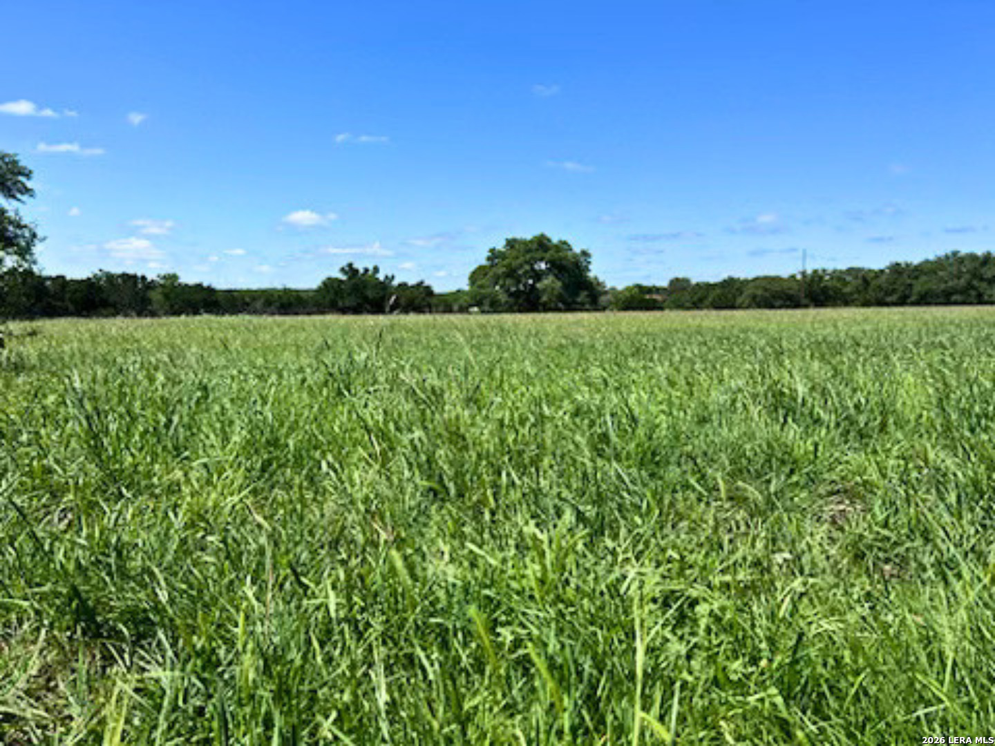 2444 Purgatory New Braunfels TX 78132