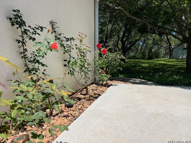 2444 Purgatory New Braunfels TX 78132