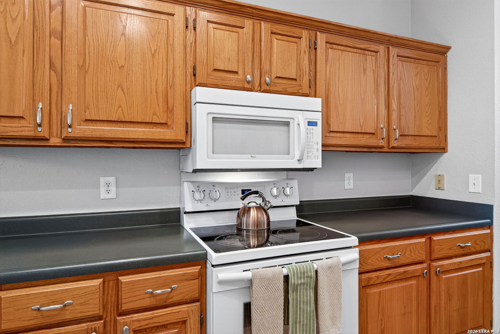 25030 Burnt Arrow San Antonio TX 78258