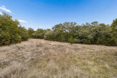 1398 Lazy Forest New Braunfels TX 78132
