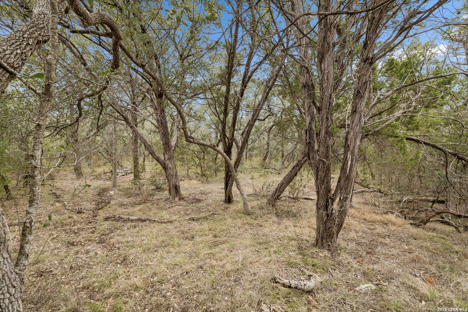 1398 Lazy Forest New Braunfels TX 78132