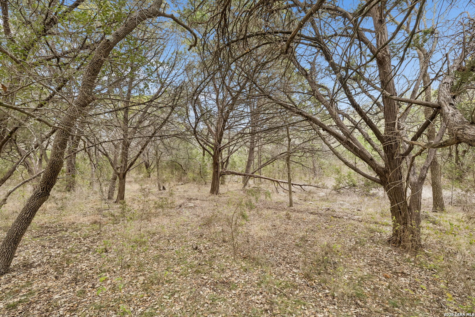 1398 Lazy Forest New Braunfels TX 78132