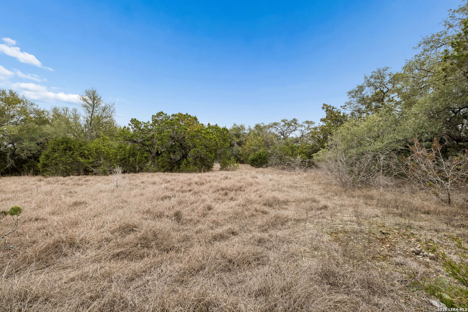 1398 Lazy Forest New Braunfels TX 78132
