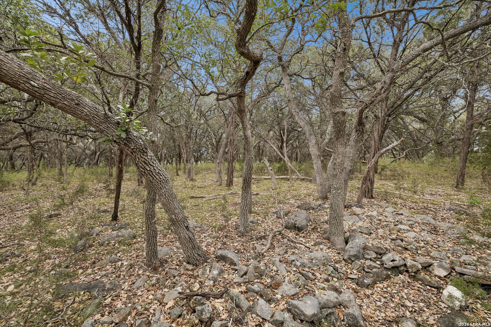 1398 Lazy Forest New Braunfels TX 78132