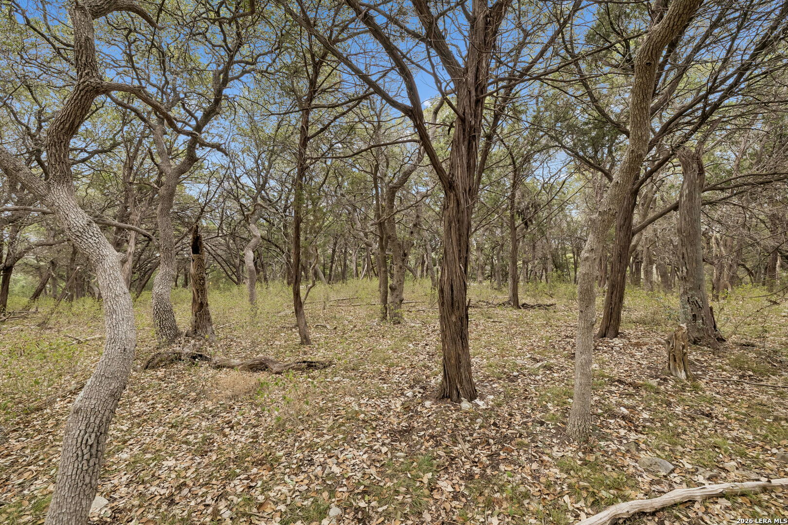1398 Lazy Forest New Braunfels TX 78132