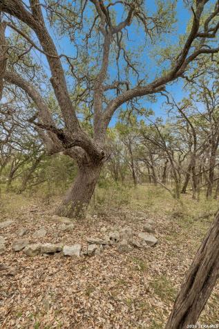 1398 Lazy Forest New Braunfels TX 78132