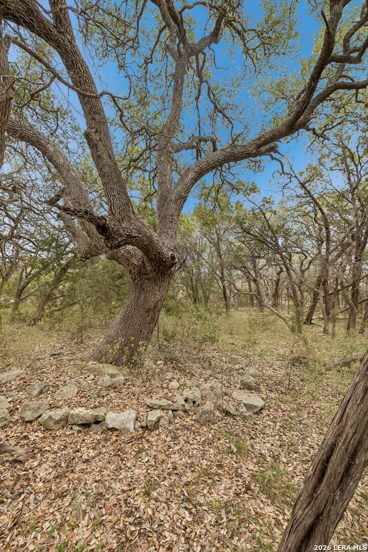1398 Lazy Forest New Braunfels TX 78132