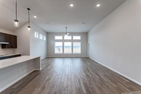 154 Ednie Lane Mico TX 78066