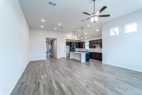 154 Ednie Lane Mico TX 78066