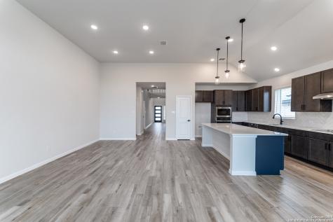 154 Ednie Lane Mico TX 78066