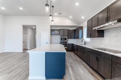 154 Ednie Lane Mico TX 78066