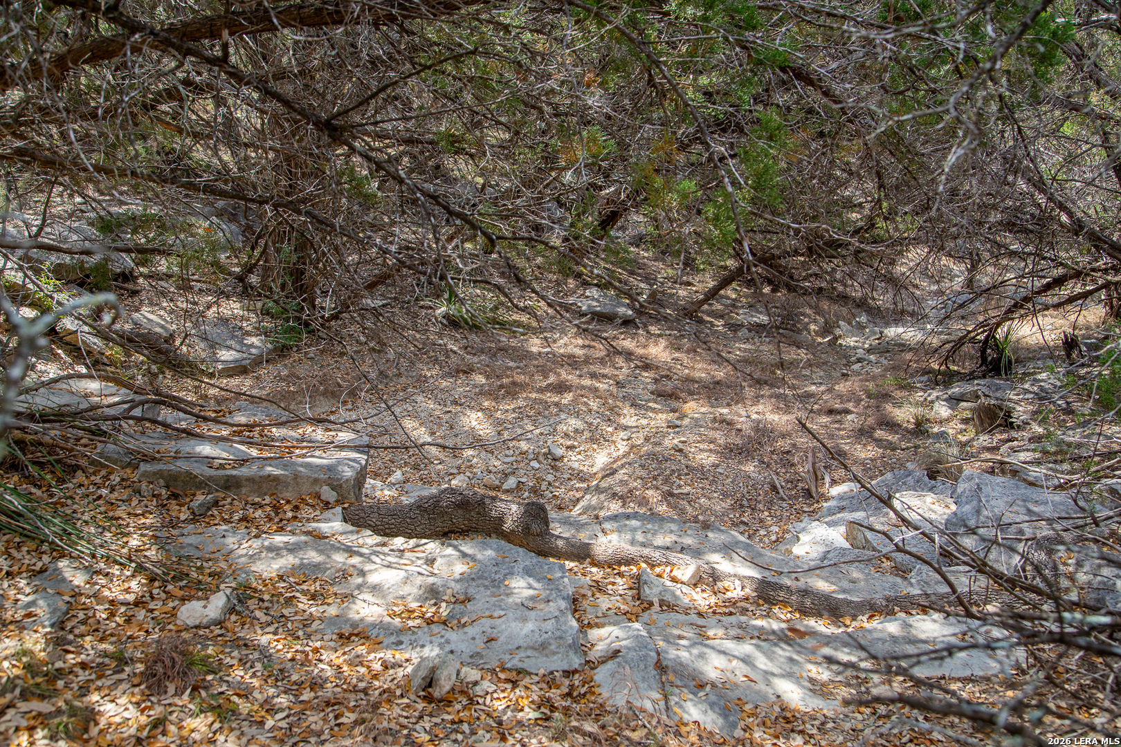 Tbd Rustling Ridge Bulverde TX 78163