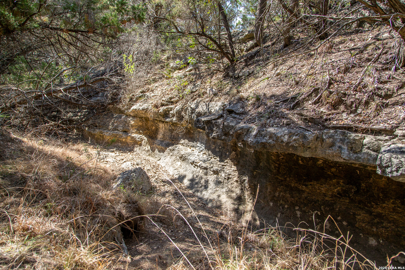 Tbd Rustling Ridge Bulverde TX 78163