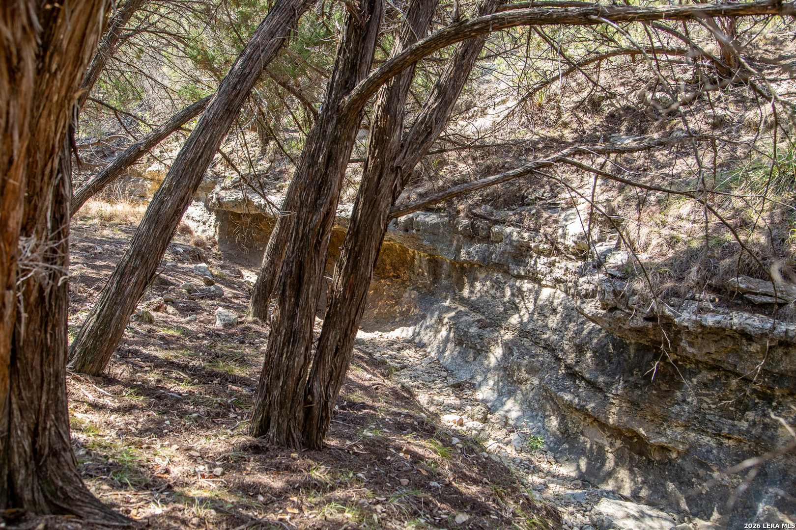 Tbd Rustling Ridge Bulverde TX 78163