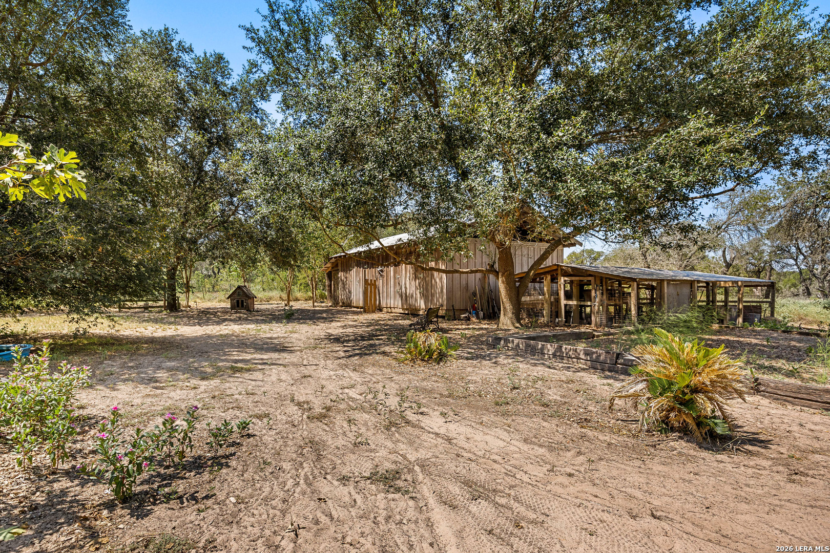 22445 Trumbo San Antonio TX 78264