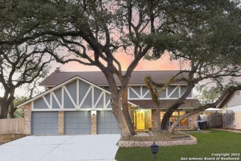 15203 Chalet Drive San Antonio TX 78232