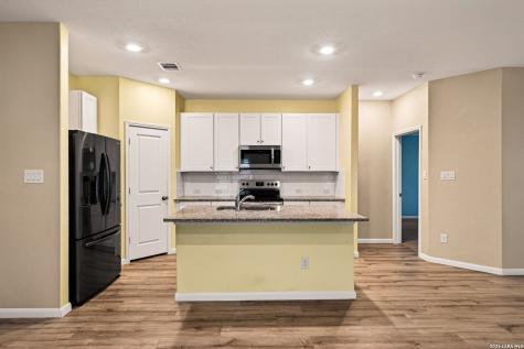 1921 Grey Wagtail New Braunfels TX 78130