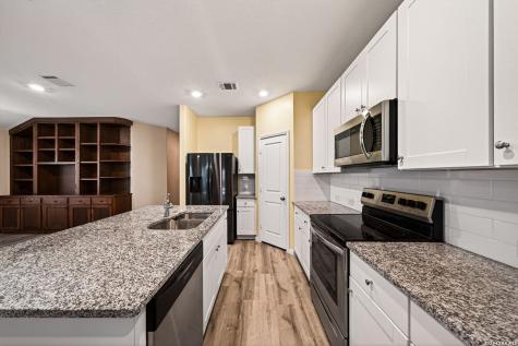 1921 Grey Wagtail New Braunfels TX 78130