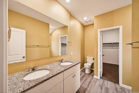 1921 Grey Wagtail New Braunfels TX 78130