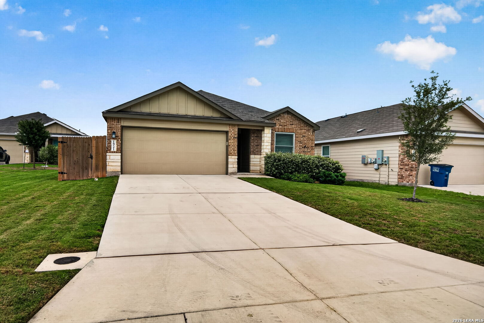 1921 Grey Wagtail New Braunfels TX 78130